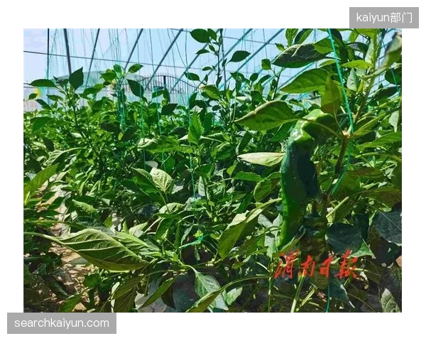 当品牌纷纷自晒“碳足迹”成绩单，缺乏第三方独立审计的绿色数据能否经受住市场的长期信任考验？
